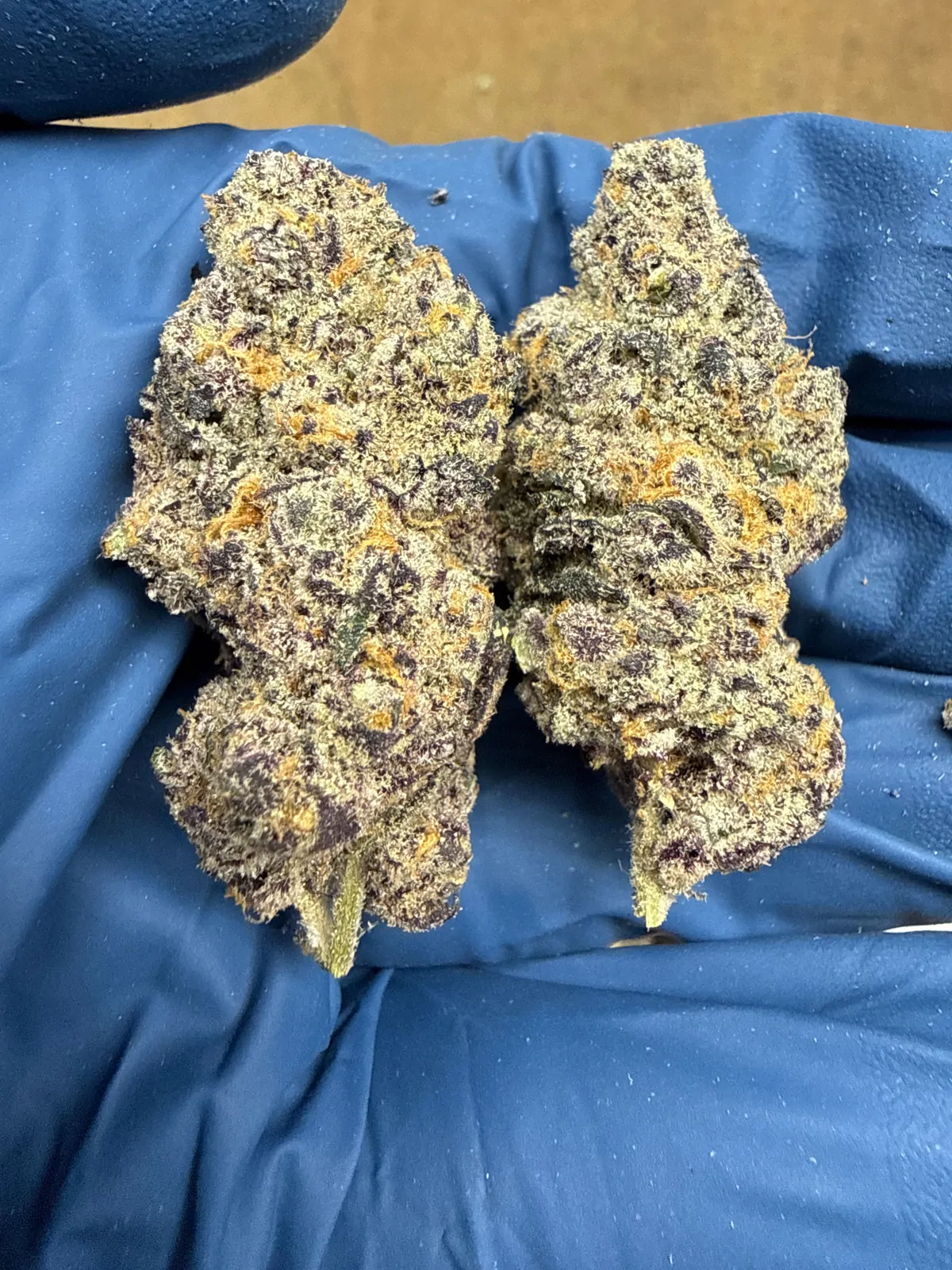 Blueberry Pancakes Flower
